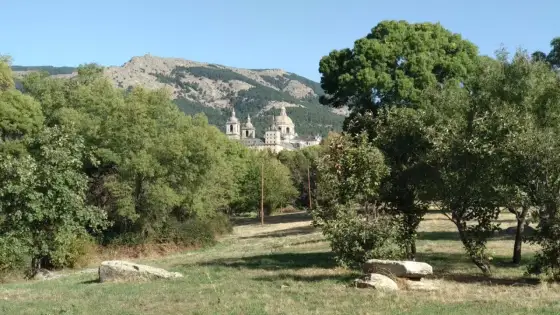 Bosque de La Herrería - rutas, vistas y consejos para visitarlo